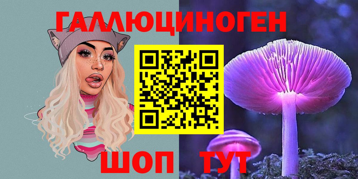 Кимры  Галлюциногенные грибы прущие грибы  Галлюциногенные грибы GOLDEN TEACHER  Вход с VPN 